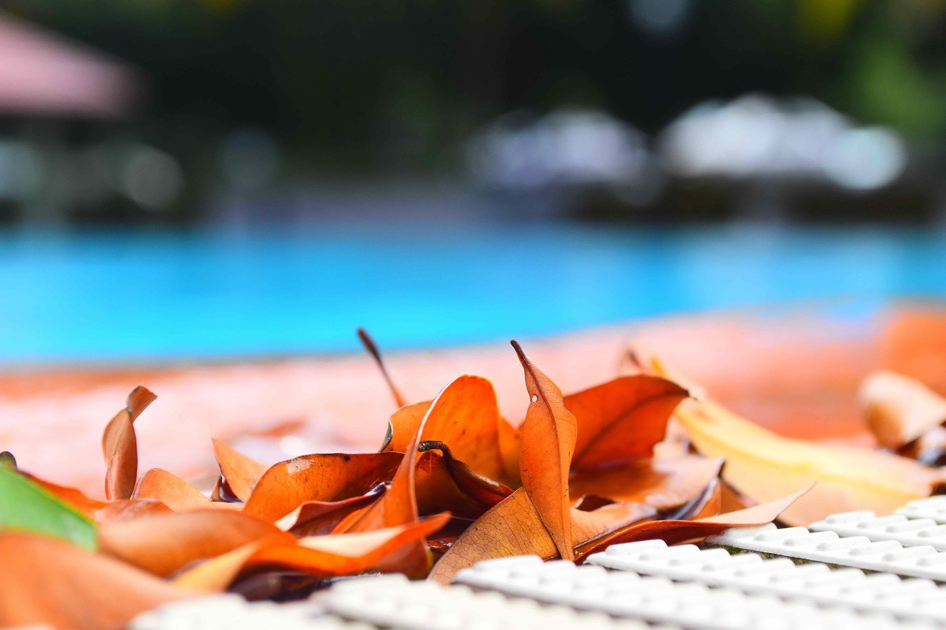 Swimming Pool Maintenance Tips for Your Summer 3 swimming pool maintenance tips for your summer
