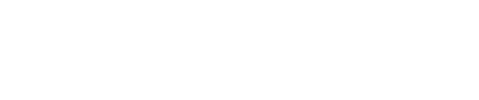 valor logo w